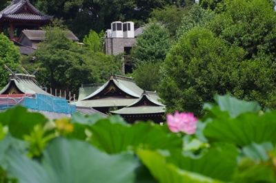 五條天神社と不忍池