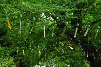 池上本門寺の風鈴祭り