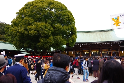 明治神宮元旦で南神門付近の初詣客