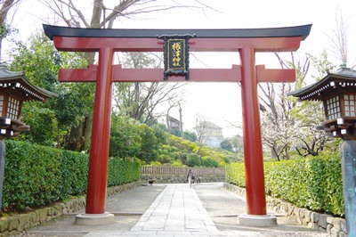 根津神社は千代田線がベストアクセス