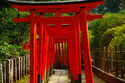 根津神社の見どころ