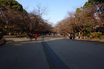 大晦日の上野公園の中心部