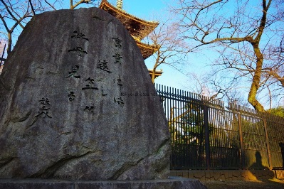 上野東照宮にある松崎鉄之助の句碑
