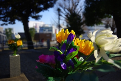 上野公園の彰義隊の墓で大晦日の写真