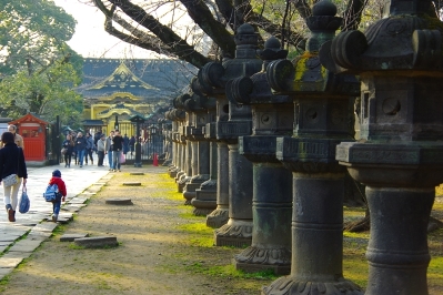 上野にある花園稲荷神社の鳥居の道