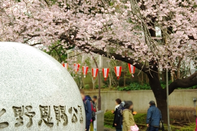 上野の弁天堂は夜桜のライトアップもある